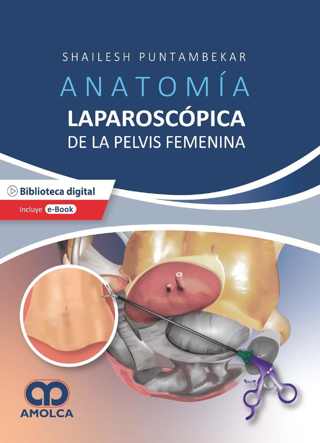 ANATOMIA LAPAROSCOPICA DE LA PELVIS FEMENINA - PUNTAMBEKAR