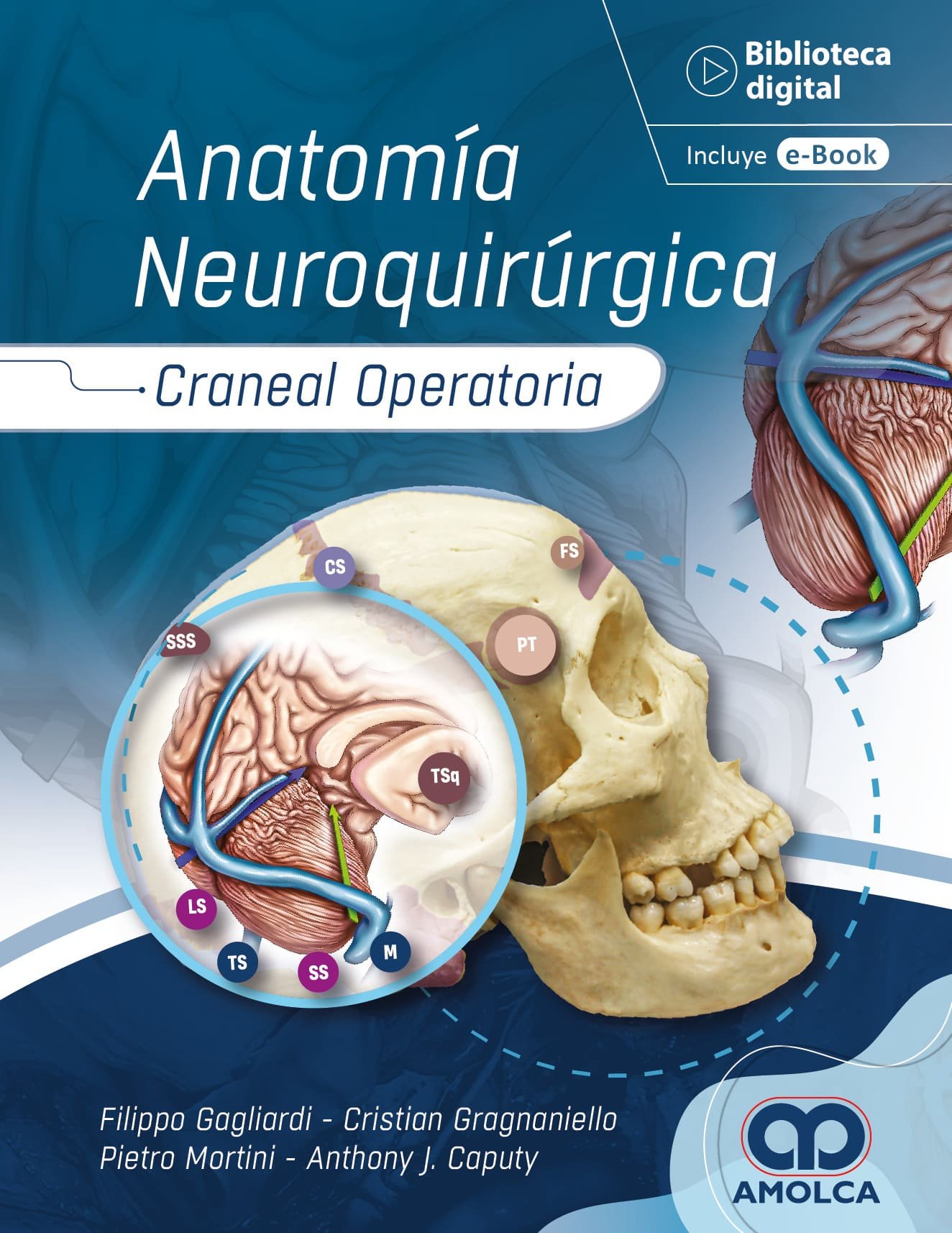 ANATOMIA NEUROQUIRURGICA CRANEAL OPERATORIA - GAGLIARDI