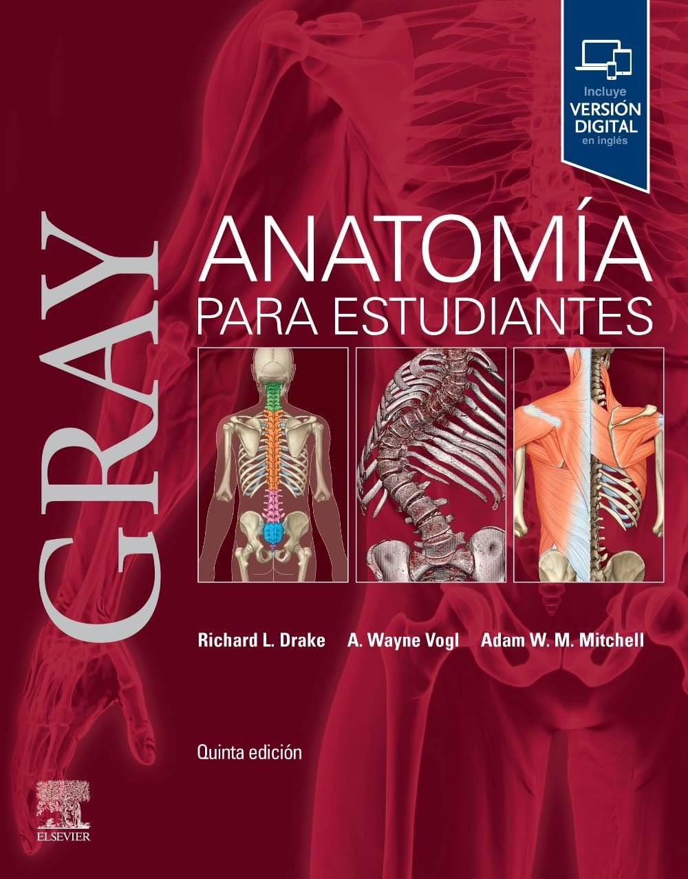 ANATOMIA PARA ESTUDIANTES GRAY 5ED INCLUYE VERSION DIGITAL EN INGLES - DRAKE