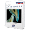 Anteriores dientes anteriores naturalmente hermosos Hajto