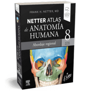 NETTER ATLAS DE ANATOMIA HUMANA ABORDAJE REGIONAL 8ED