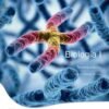 Lecona_1_cover_A.indd