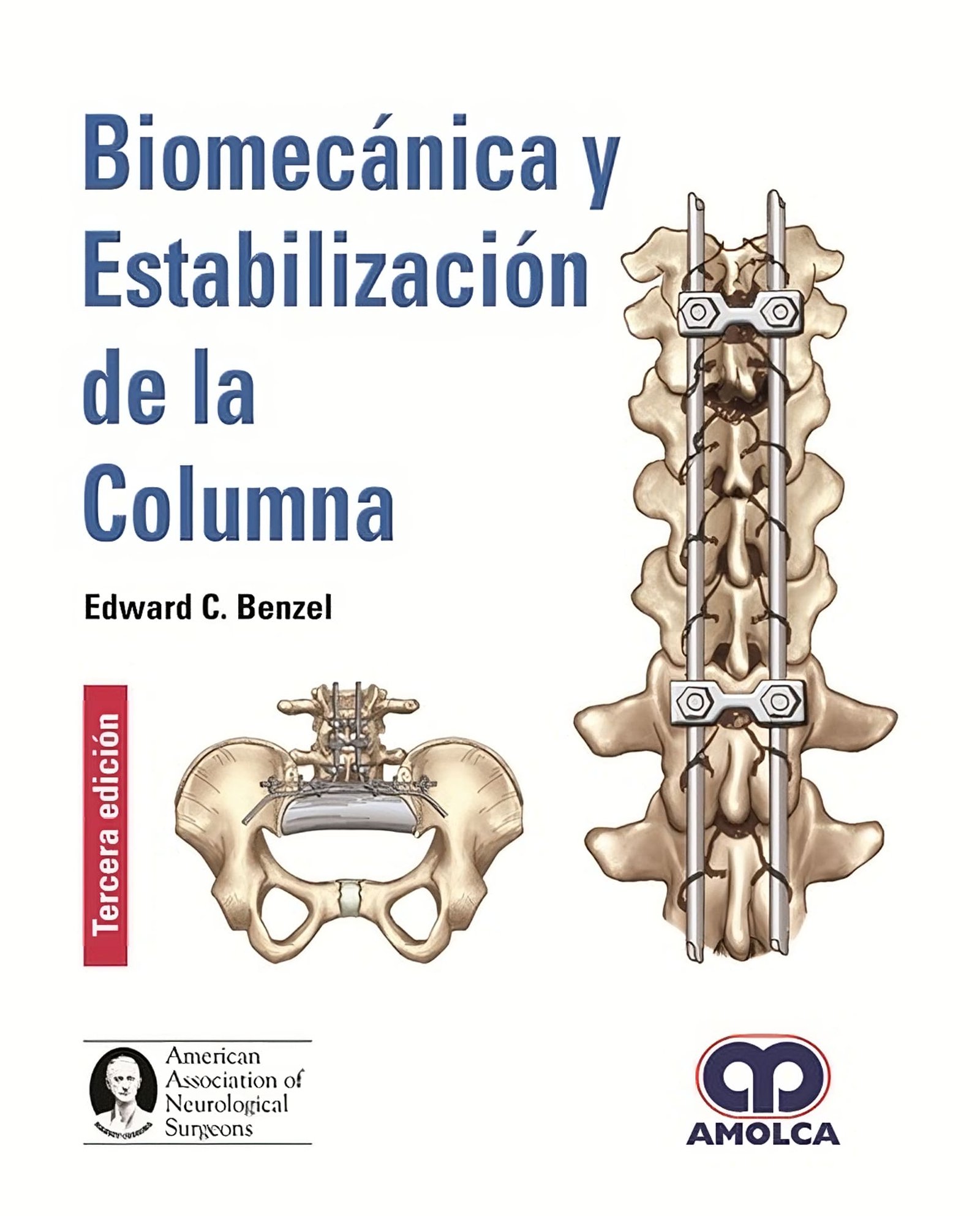 BIOMECANICA Y ESTABILIZACION DE LA COLUMNA 3ED - BENZEL