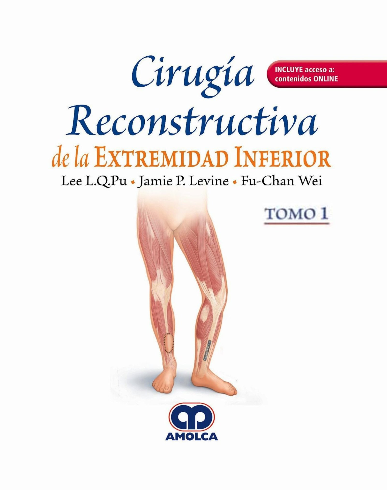 CIRUGIA RECONSTRUCTIVA DE LA EXTREMIDAD INFERIOR (2 TOMOS) - Imagen 2