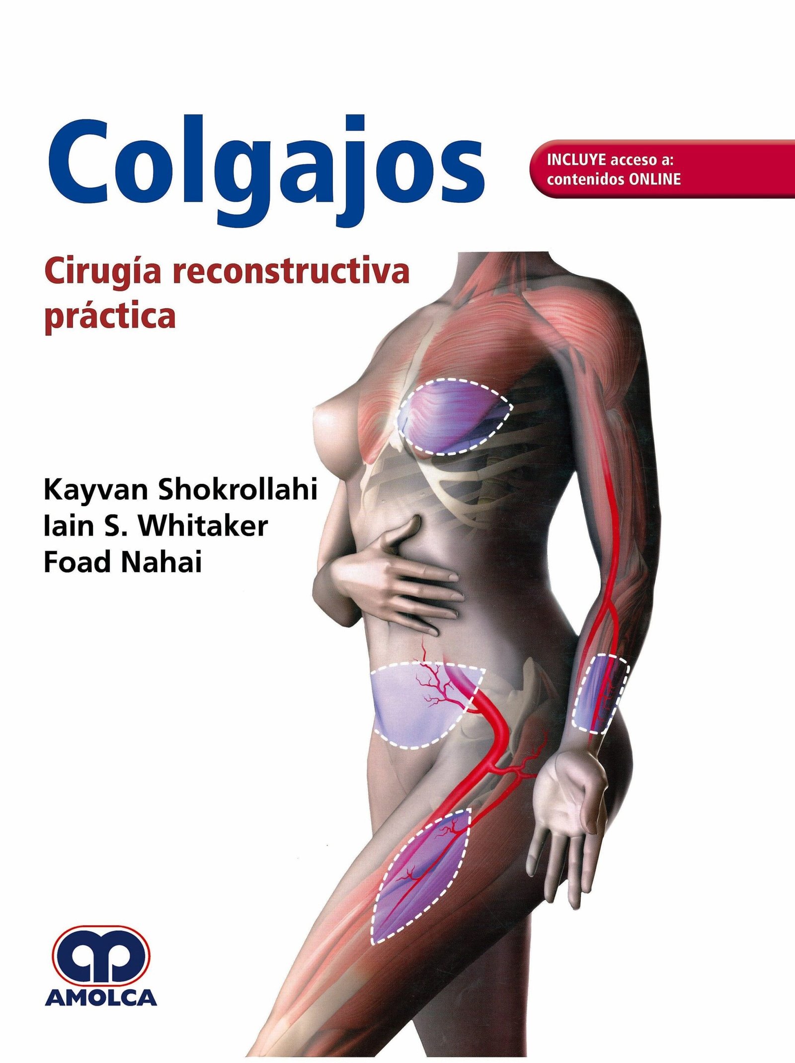 COLGAJOS CIRUGIA RECONSTRUCTIVA PRACTICA - Imagen 2