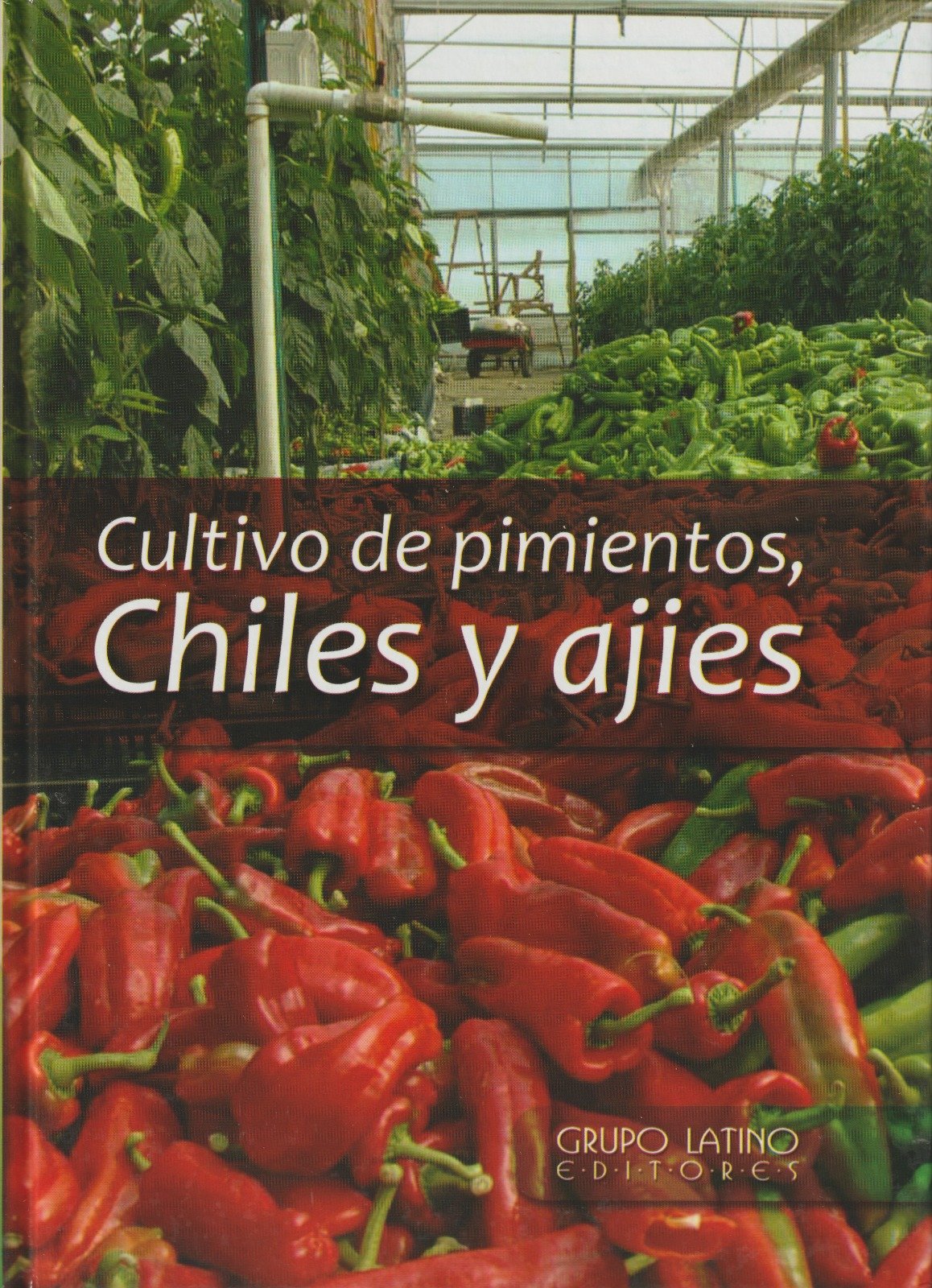 CULTIVO DE PIMIENTOS CHILES Y AJIES - GRUPO LATINO