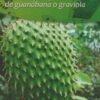 CULTIVO Y EXPLOTACION DE GUANABANA O GRAVIOLA - DURAN