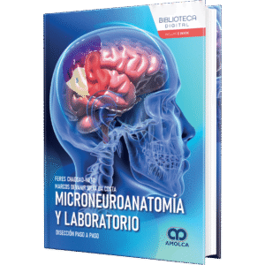 MICRONEUROANATOMIA Y LABORATORIO DISECCION PASO A PASO