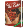 Cultivo del Cafe Grupo Latino