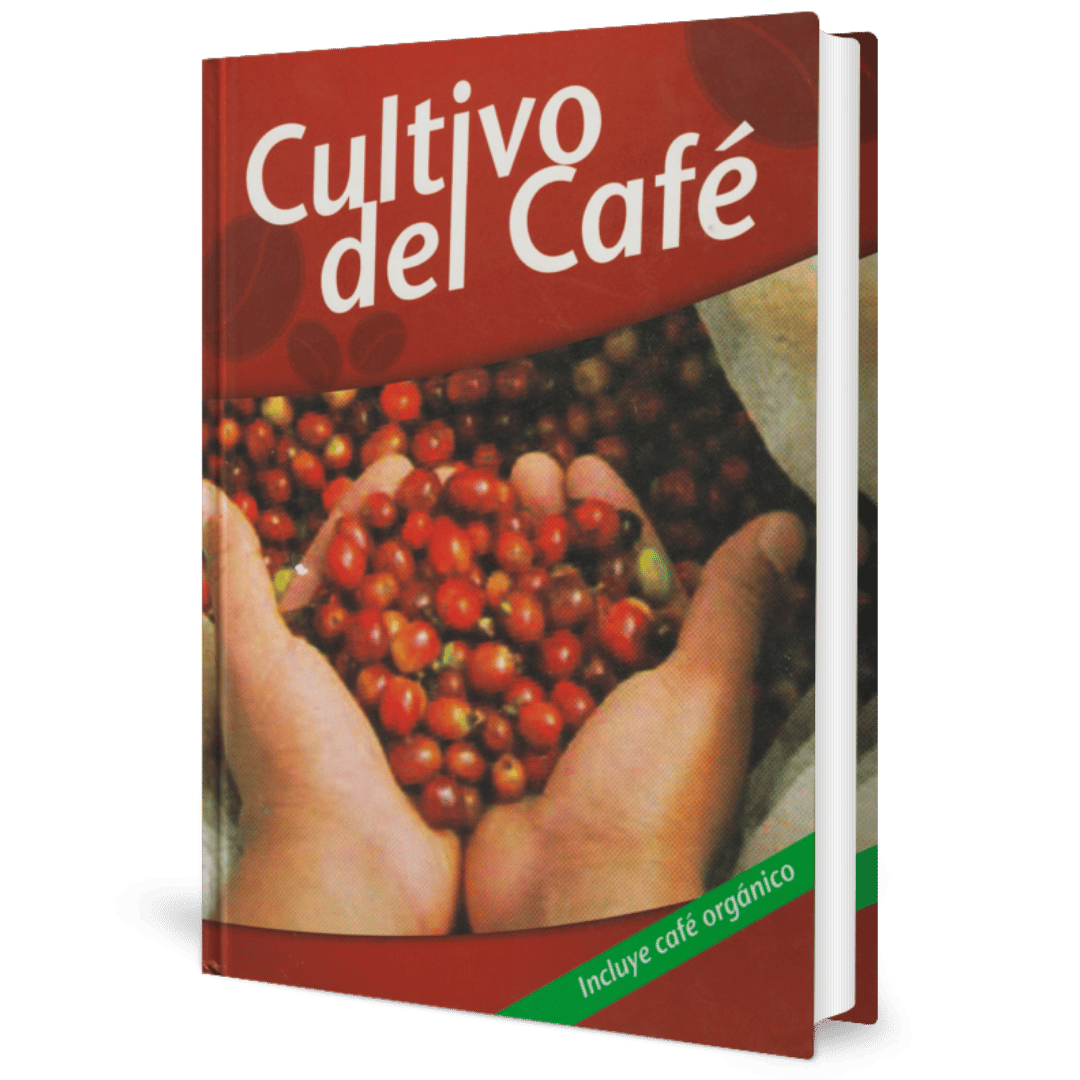 Cultivo del Cafe Grupo Latino