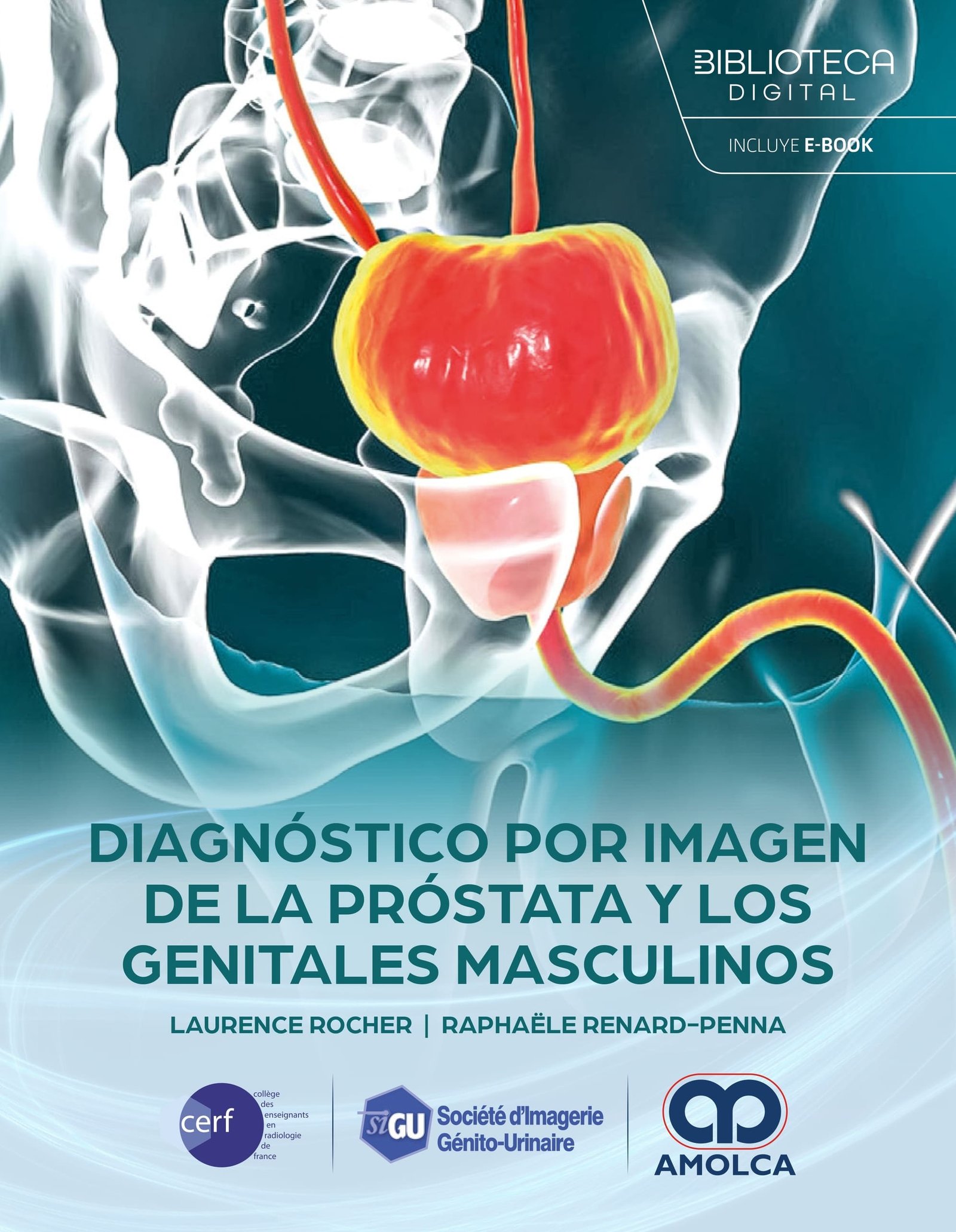 DIAGNOSTICO POR IMAGEN DE LA PROSTATA Y LOS GENITALES MASCULINOS - Imagen 2