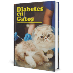 DIABETES EN GATOS
