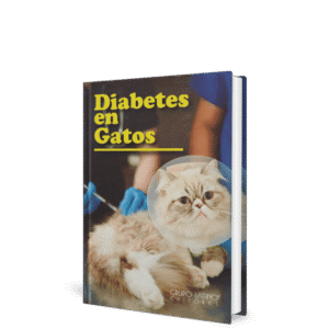 DIABETES EN GATOS