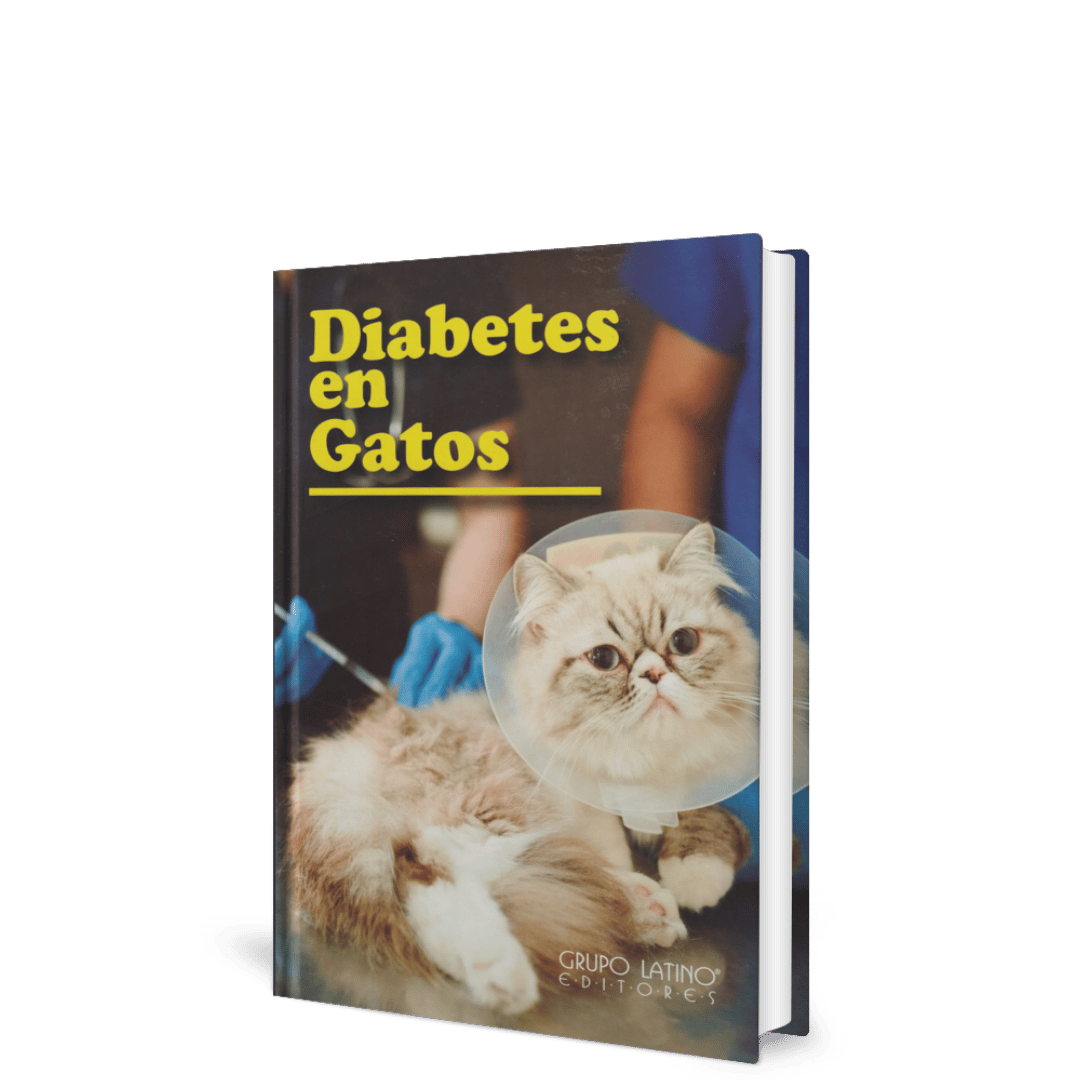 Diabetes en Gatos Correcto