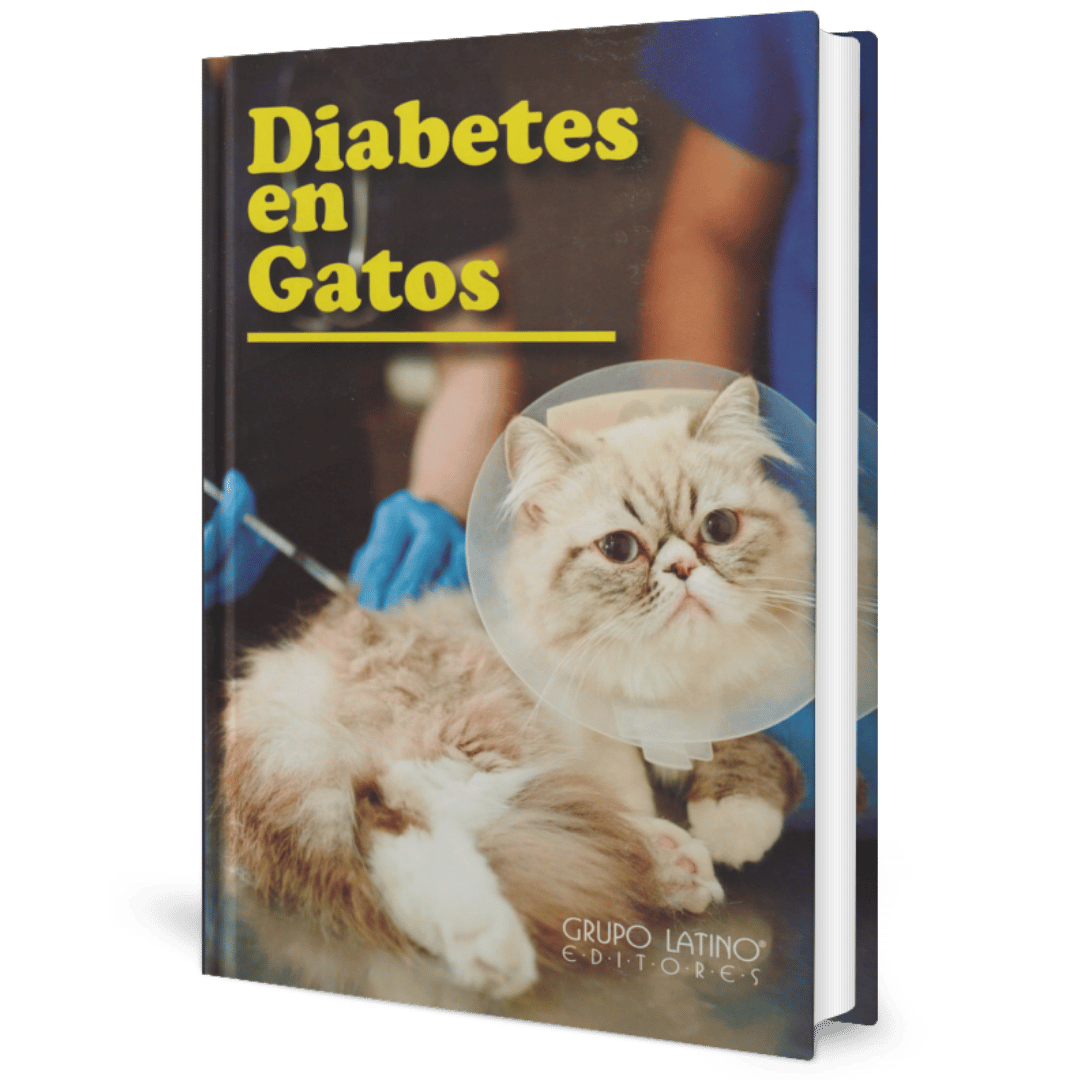 Diabetes en Gatos