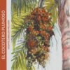 EL COCOTERO PLUMOSO - CABALLER