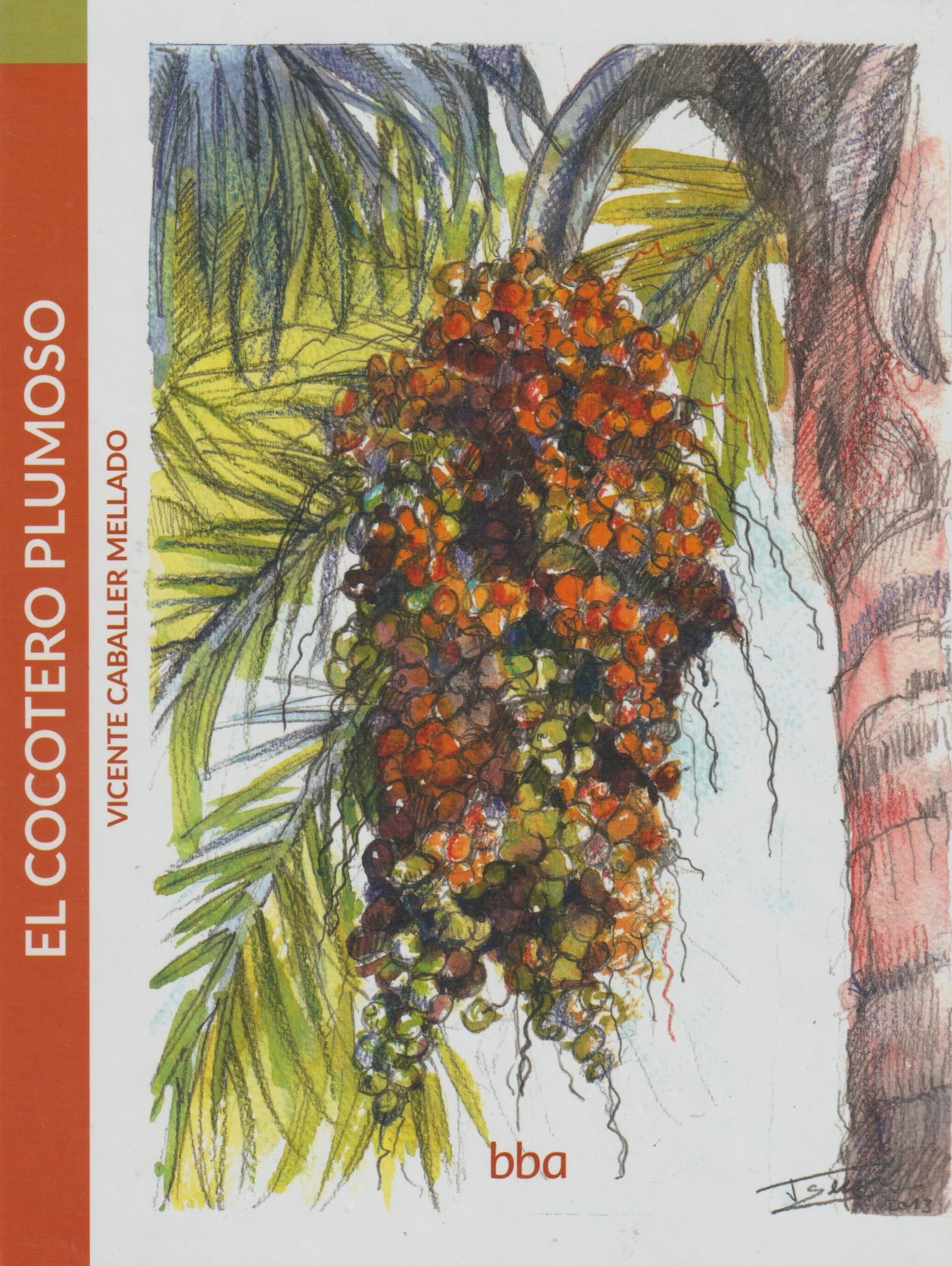 EL COCOTERO PLUMOSO - CABALLER