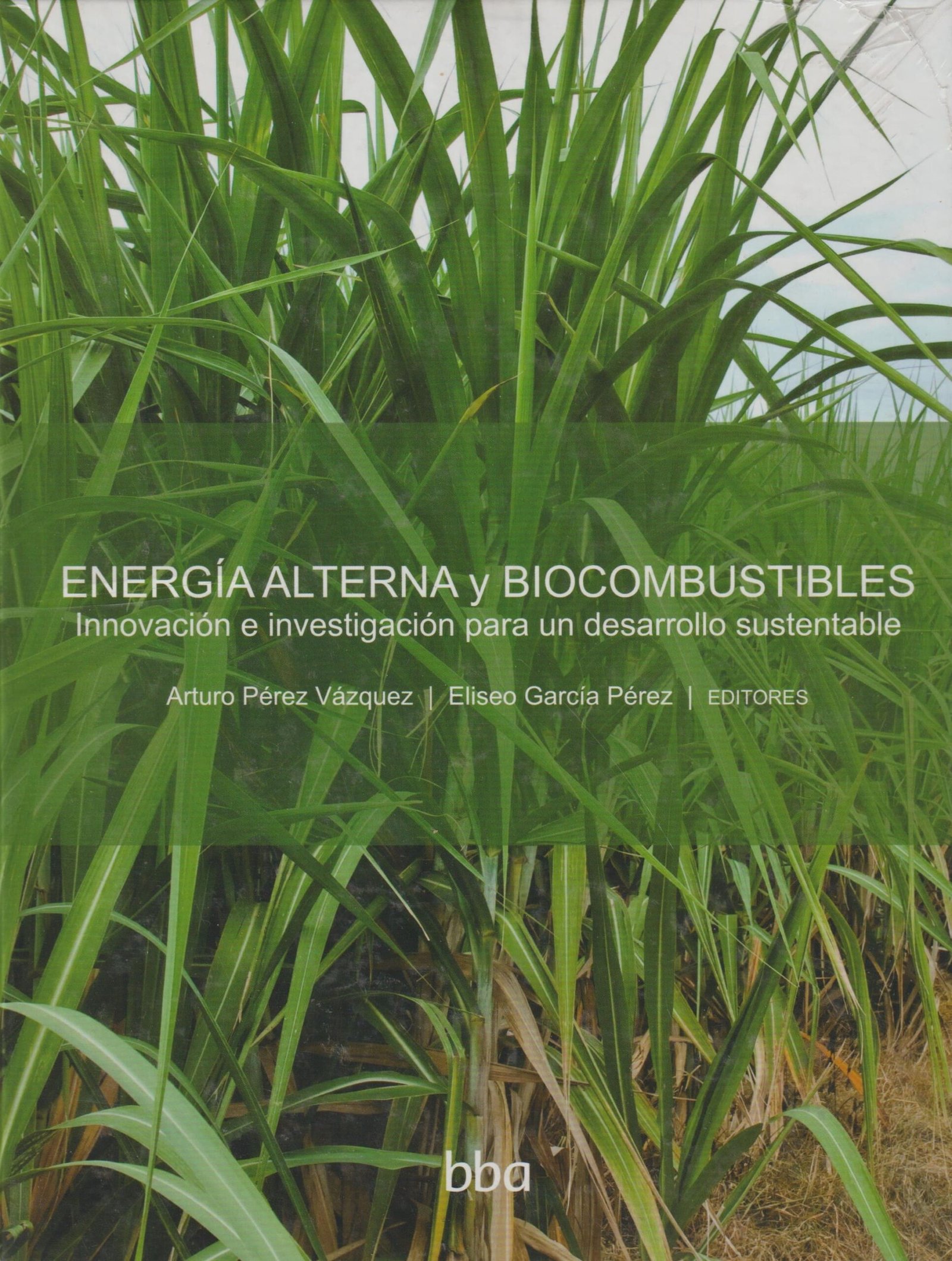 ENERGIA ALTERNA Y BIOCOMBUSTIBLE INNOVACION E INVESTIGACION PARA UN DESARROLLO SUSTENTABLE - Imagen 2