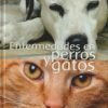 ENFERMEDADES EN PERROS Y GATOS - DURAN