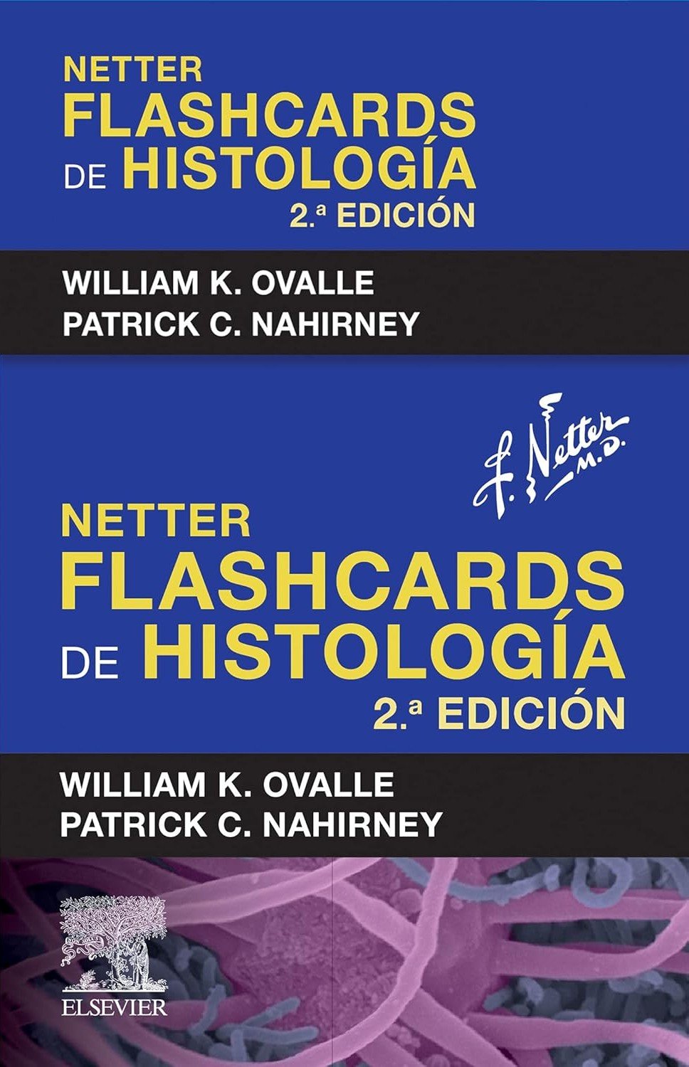 FLASHCARDS DE HISTOLOGIA 2ED NETTER + VERSION DIGITAL - OVALLE