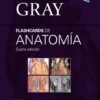 GRAY FLASHCARDS DE ANATOMIA 4ED - DRAKE