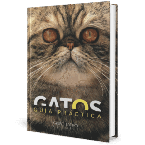 GATOS GUIA PRACTICA