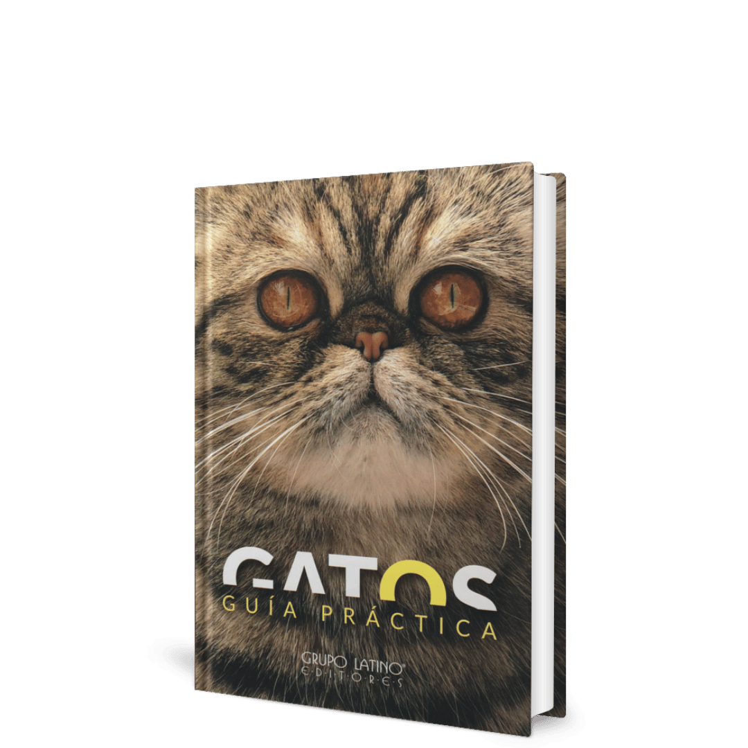 Gatos Guía Práctica