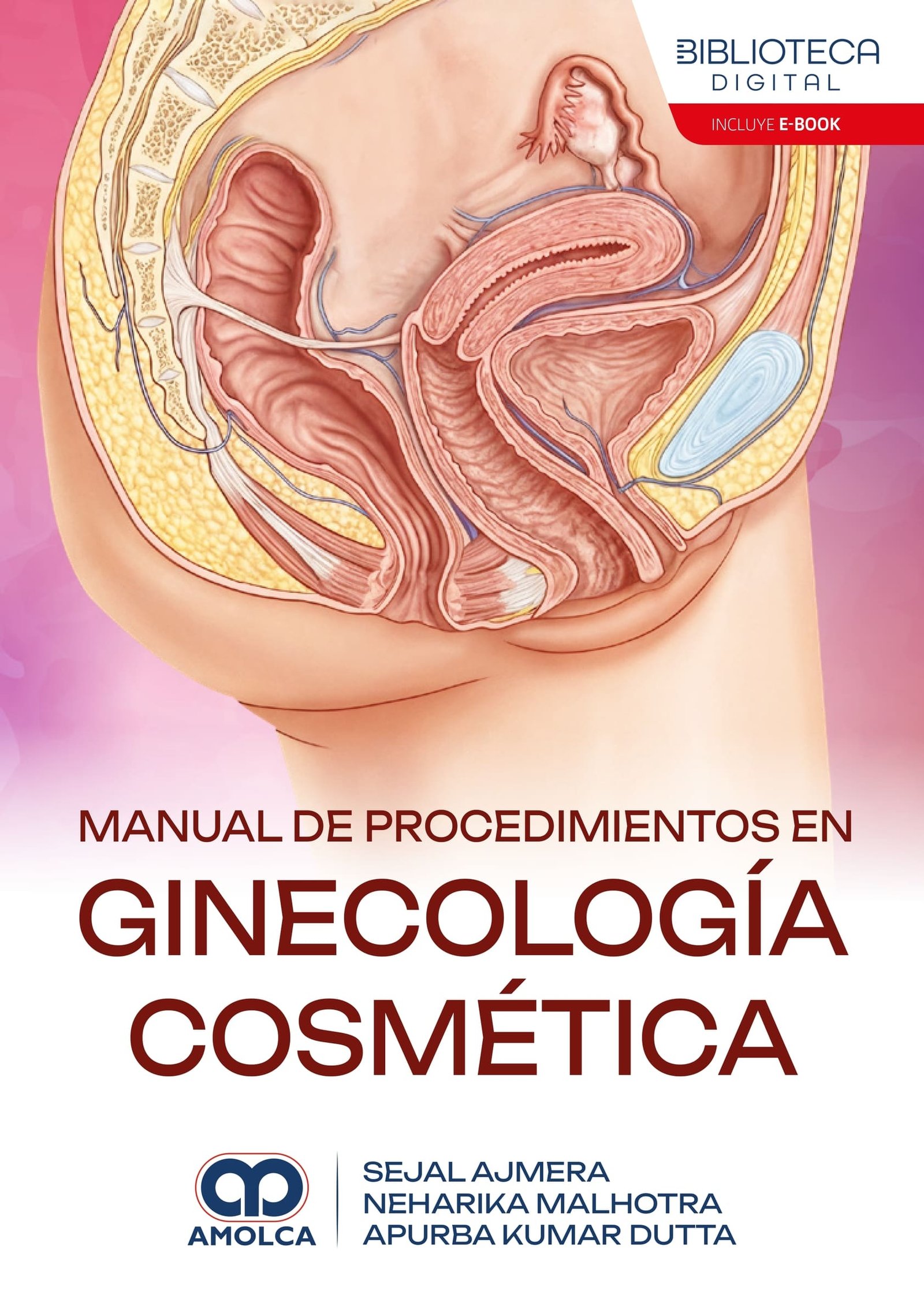 MANUAL DE PROCEDIMIENTOS EN GINECOLOGIA COSMETICA - Imagen 2