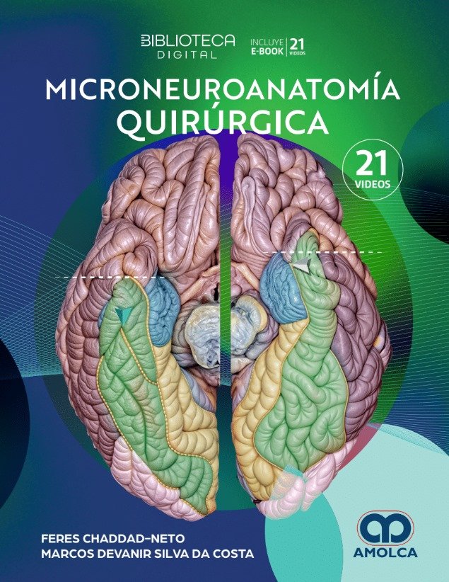 MICRONEUROANATOMIA QUIRURGICA 1ED - CHADDAD-NETO