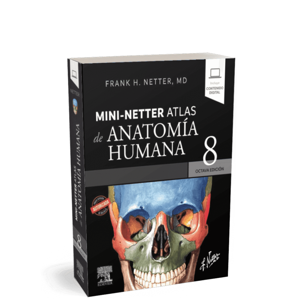 MINI-NETTER ATLAS DE ANATOMIA HUMANA 8ED - TuLibroGT