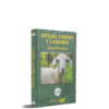 OVEJAS CABRAS Y CAMUROS GUIA PRACTICA - Thumbnail Image 1