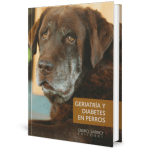 GERIATRIA Y DIABETES EN PERROS
