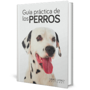 GUIA PRACTICA DE LOS PERROS