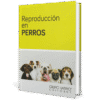 Perros Reproduccion