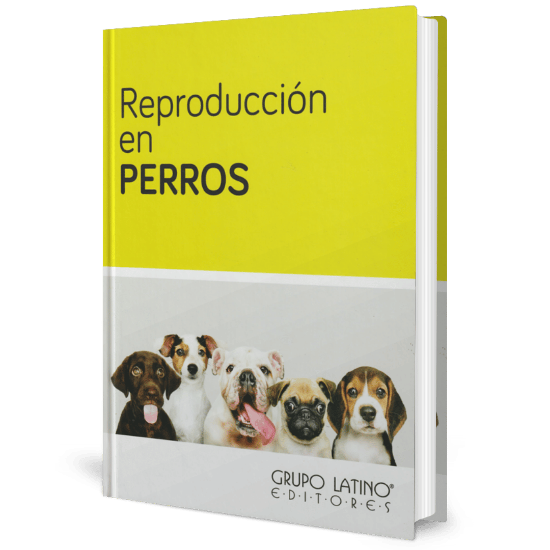 Perros Reproduccion