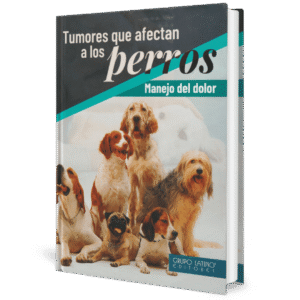 TUMORES QUE AFECTAN A LOS PERROS MANEJO DEL DOLOR