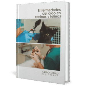 ENFERMEDADES DEL OIDO EN CANINOS Y FELINOS