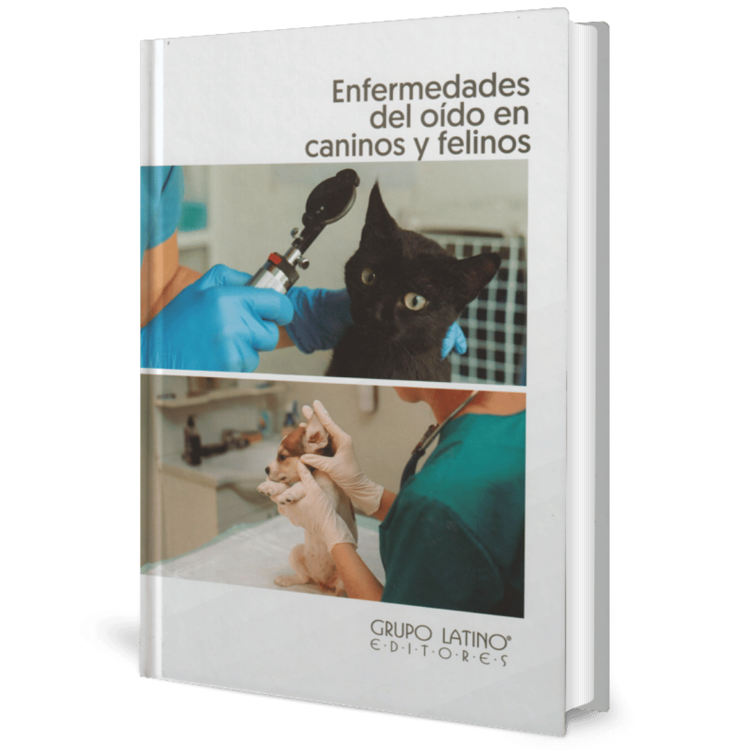 Perros y Gatos Enfermedades Oido